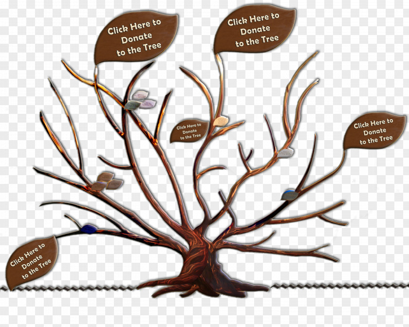 Family Branch Tree Adoption Root PNG