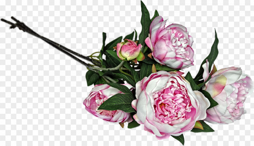 Flower Cut Flowers Garden Roses Floral Design Floristry PNG