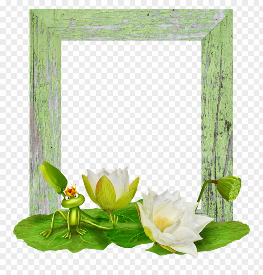 Flower Picture Creative Floral Background Material Water Lily Nelumbo Nucifera Clip Art PNG