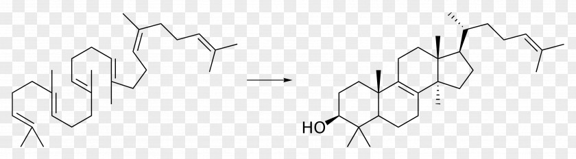 Lanosterol Cytotoxicity Hydrazine Chemistry Natural Product Steroid PNG