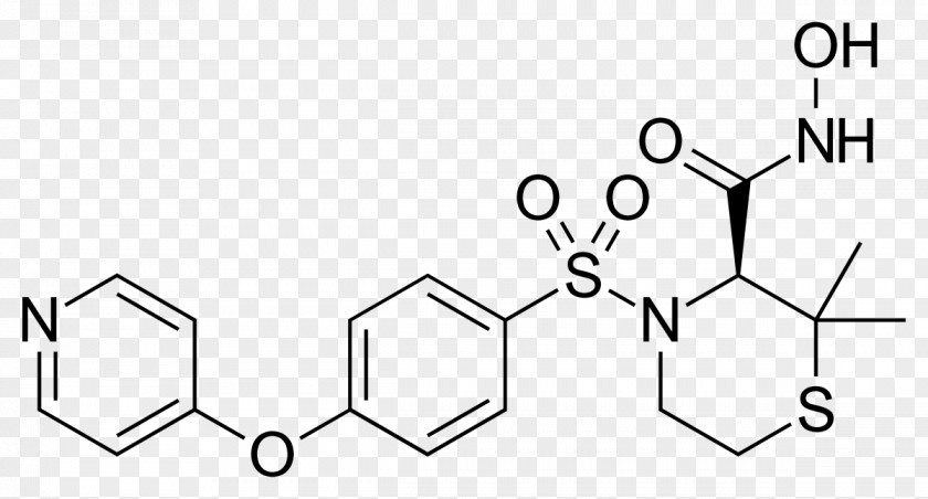 Metalloproteinase Chloramphenicol Chemical Compound Pharmaceutical Drug Chemistry Enzyme Inhibitor PNG