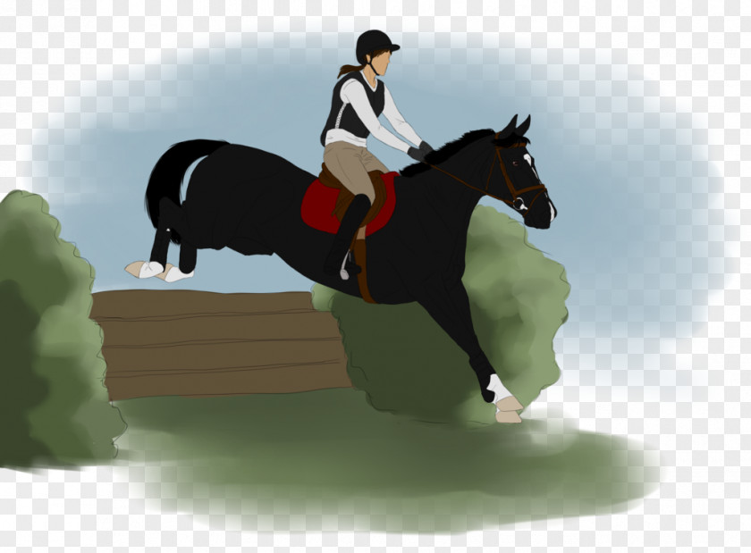 Mustang Show Jumping Stallion Hunt Seat Eventing Rein PNG