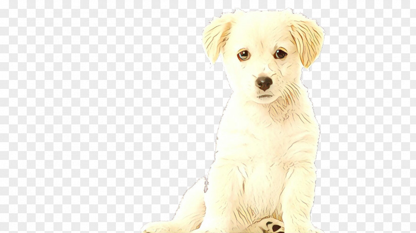 Small Greek Domestic Dog Puppy Love Cartoon PNG