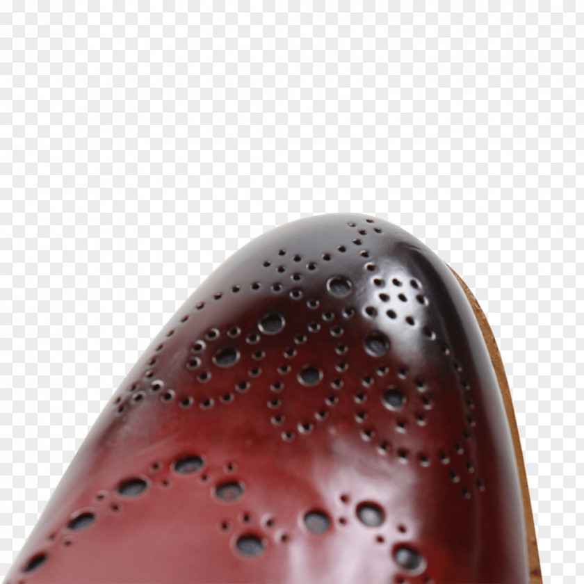 Design Shoe PNG
