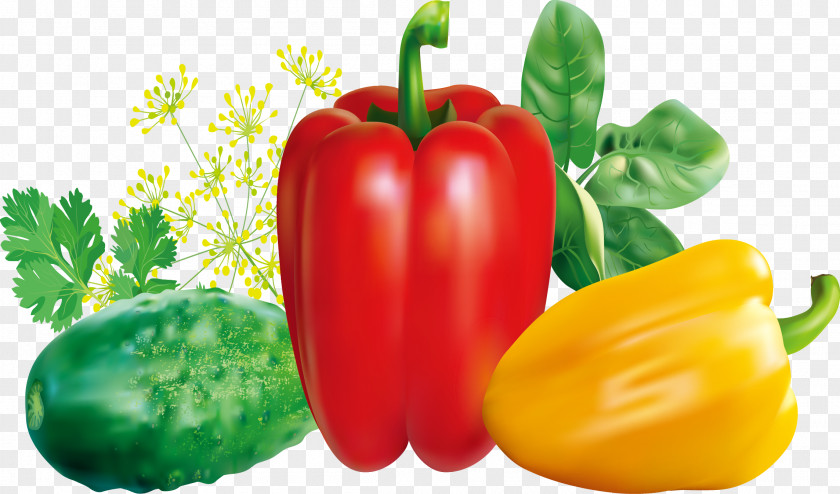 Vegetable Daquan Chili Pepper Red Bell PNG