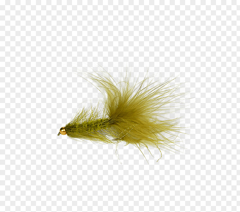 Woolly Bugger Worley-Bugger Fly Co Precision Fishing PNG