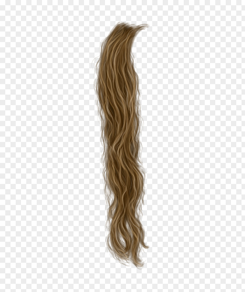 Hair Strand Wig Blond PNG