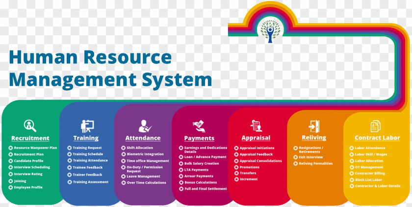 Human Resource Management System Resources Organization PNG