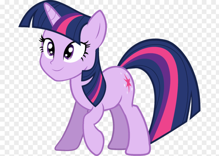 Litle Pony Twilight Sparkle Pinkie Pie Rainbow Dash Rarity PNG