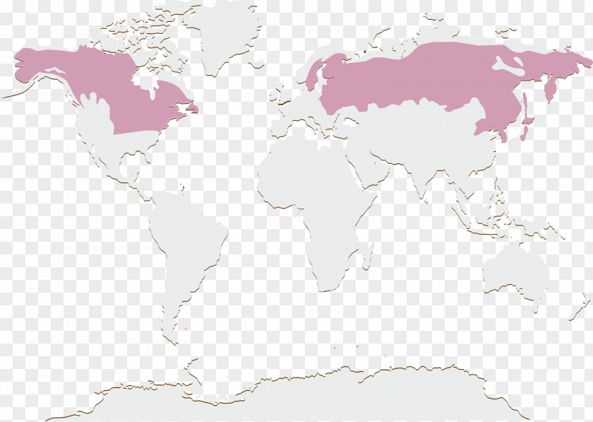 Map World Pink M PNG