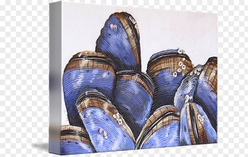 Mussels Mussel Still Life Imagekind Art Poster PNG