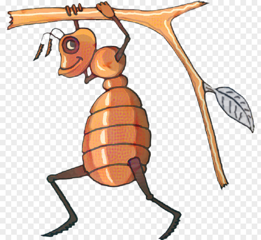 Termite Membranewinged Insect Ant Cartoon PNG