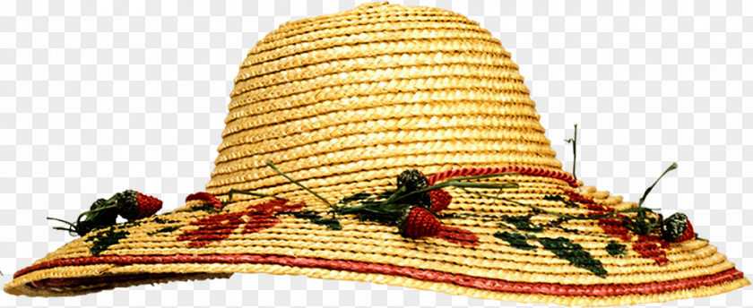Hat Cowboy Headgear Top PNG