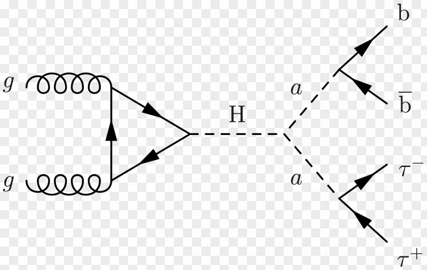 Higgs Boson Feynman Diagram Gamma-glutamyl Hydrolase (conjugase, Folylpolygammaglutamyl Hydrolase) Triangle Propagator PNG