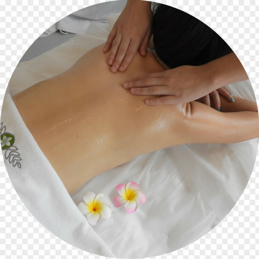 Massages Massage Alternative Health Services North Dakota Medicine Professional PNG