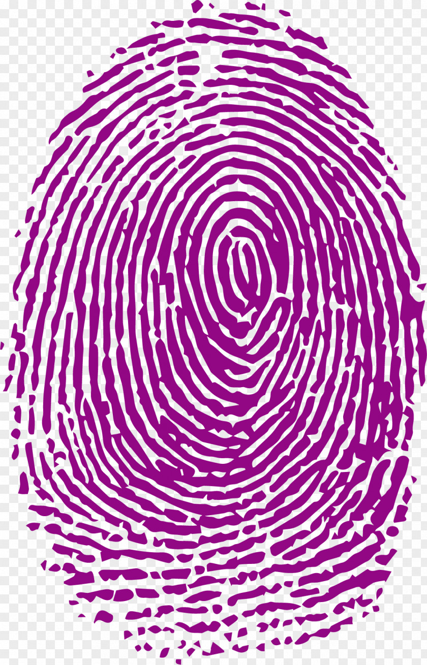 Purple Fingerprints Fingerprint Forensic Science Analysis PNG