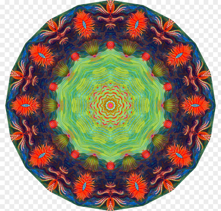 Anemones Kaleidoscope Symmetry Pattern PNG