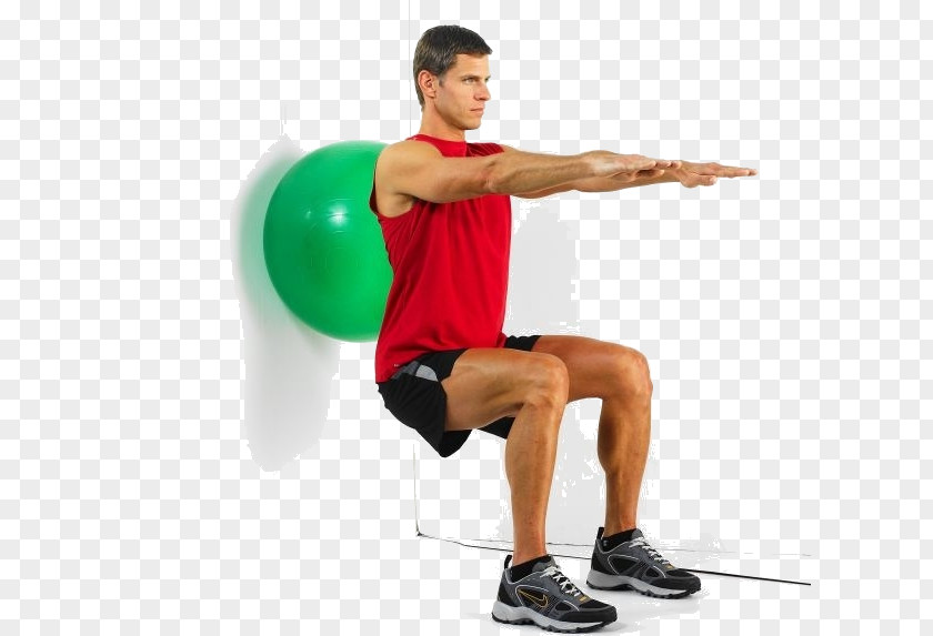 Ball Exercise Balls Physical Fitness Squat Medicine PNG