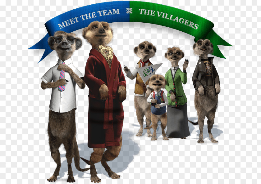 Compare The Meerkat Comparethemarket.com Advertising Television Advertisement PNG
