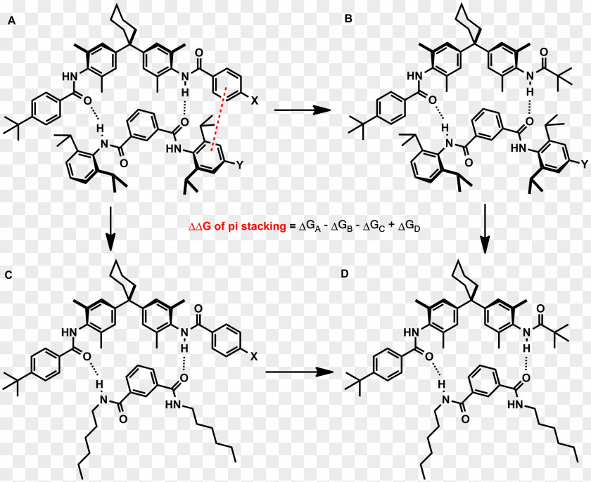 Cycle Stacking Pi Bond DNA Non-covalent Interactions Molecule PNG