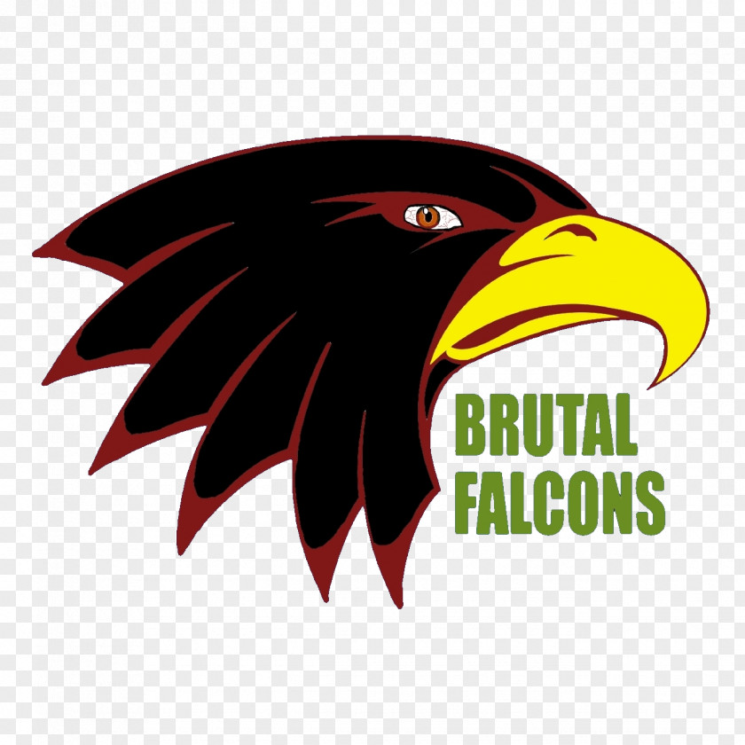 Eagle Bald Logo Beak Brand Font PNG