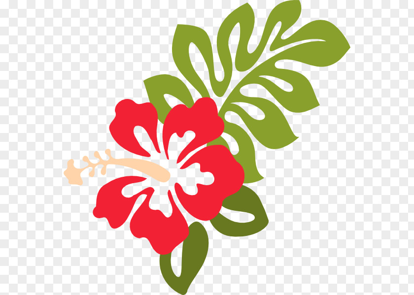 Hawaii Flower Hibiscus Schizopetalus Hawaiian Clip Art PNG
