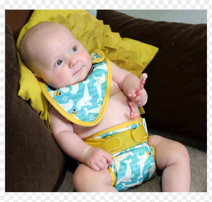 Hedgehog Stamp Cloth Diaper Infant Textile Neonate PNG