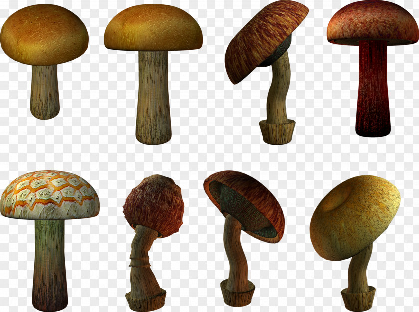 Mushroom Image Clip Art PNG