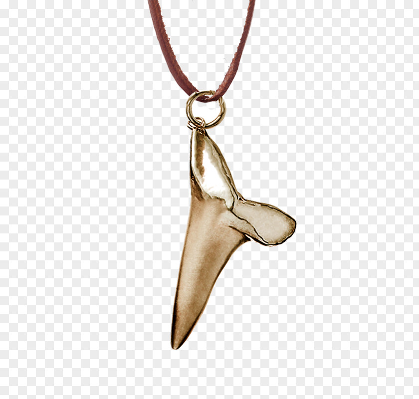 Shark Tooth Charms & Pendants Jewellery Necklace PNG