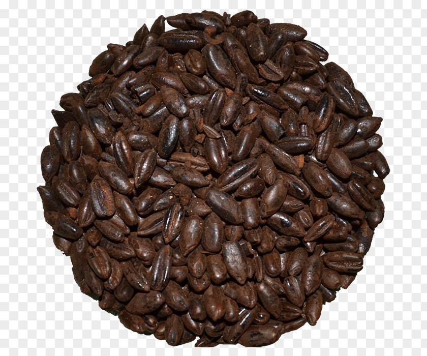 Black Rye Flour Jamaican Blue Mountain Coffee Iced Starbucks Bean PNG