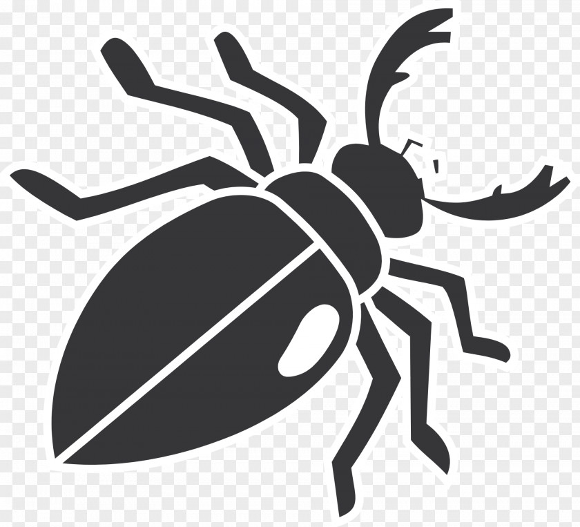 Cockroach Beetle Mosquito Pest Control PNG