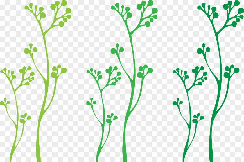 Plant Vine Stem Clip Art PNG
