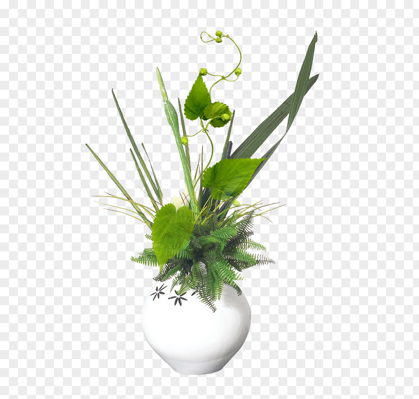 Vase Vecteur PNG
