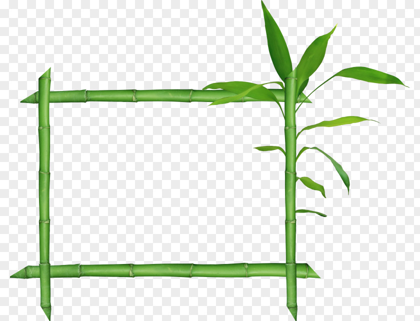 Bamboo Frame Raster Graphics Clip Art PNG