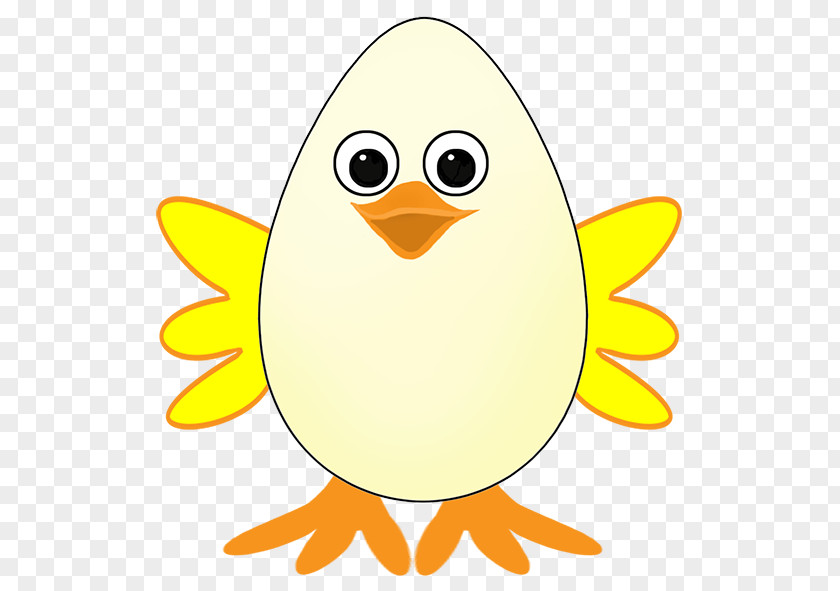 Egg Roll Bird Beak Wing Clip Art PNG