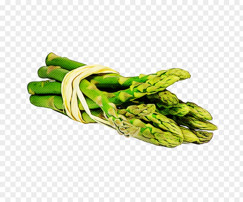 Green Asparagus Plant Hand Vegetable PNG