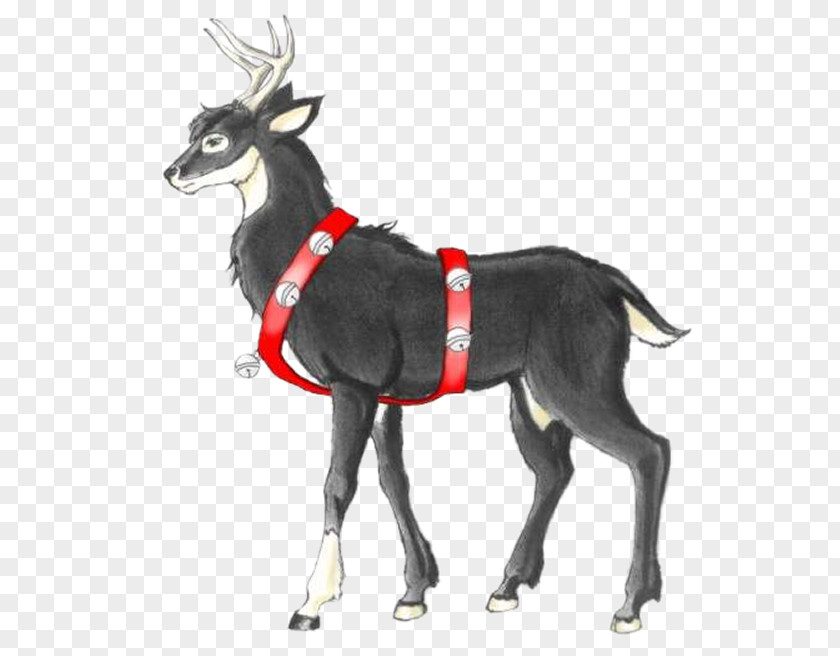 Reindeer Email Image Animated Cartoon Design PNG