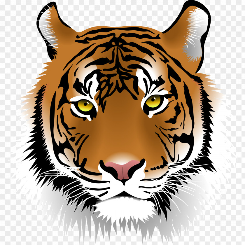 Tiger Bengal Cat Clip Art PNG
