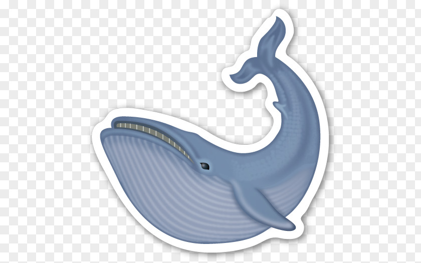 Dolphin Cetacea Sticker Blue Whale Humpback Common Bottlenose PNG