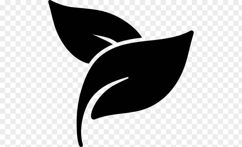 Herbal Logo Leaf PNG