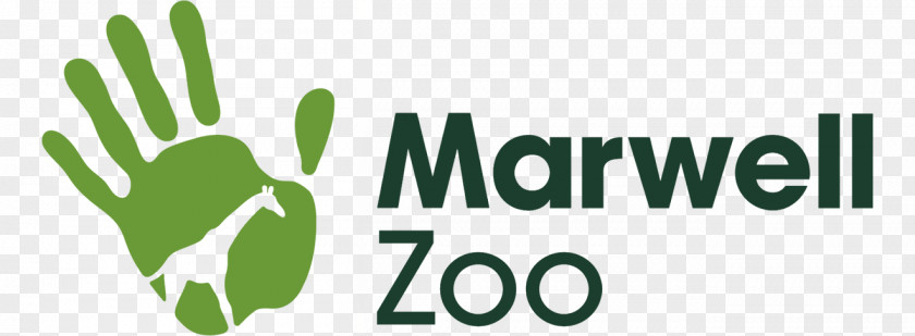 National Day Shopping Marwell Wildlife Penguin Edinburgh Zoo London PNG