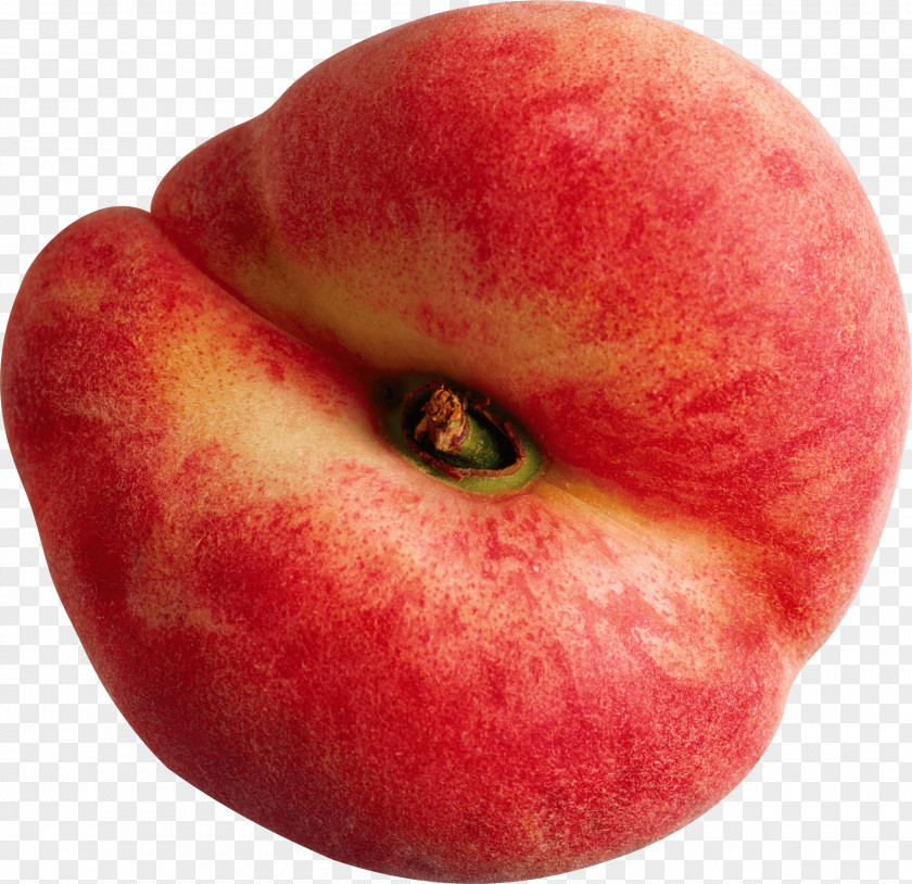 Peach Image Saturn Nectarine Fruit Clip Art PNG