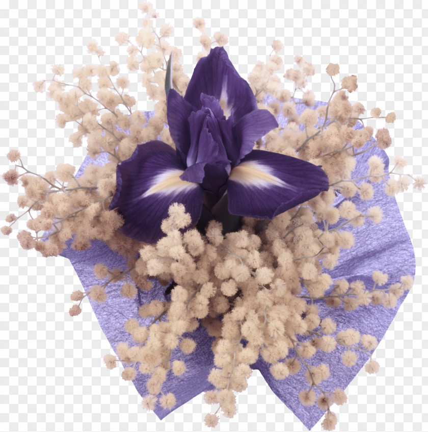 Dendrobium Delphinium Lavender PNG