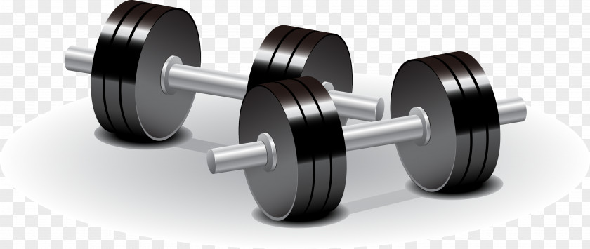 Dumbbell Renderings Vector Weight Training Olympic Weightlifting Physical Exercise PNG