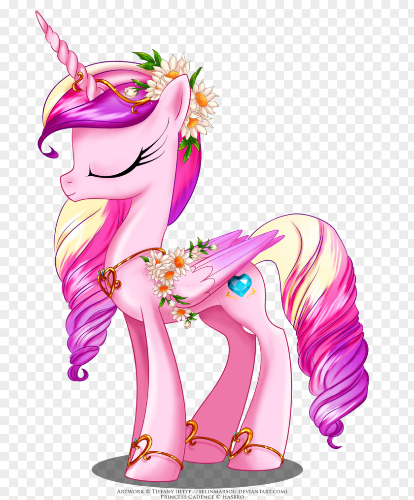 Festivals Rarity Princess Cadance Pinkie Pie Pony Twilight Sparkle PNG