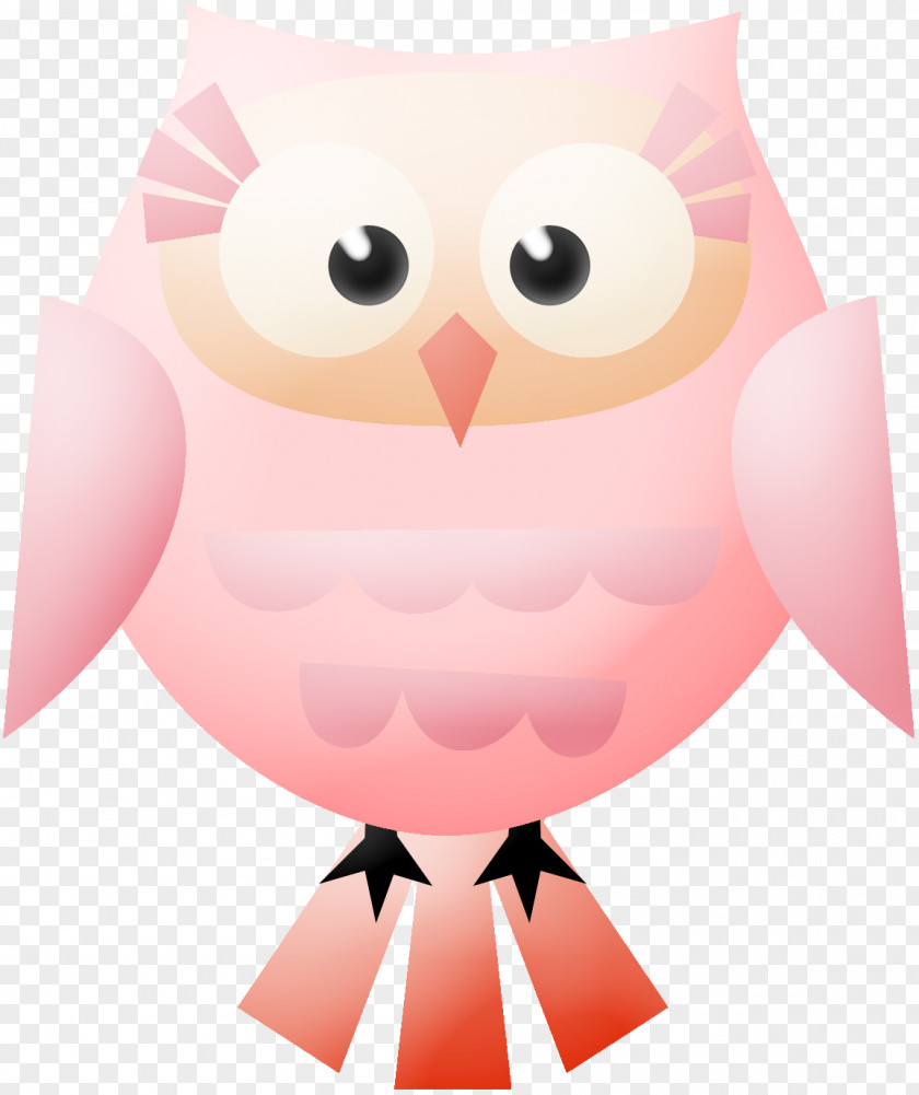 Owl Little Bird Party Convite PNG