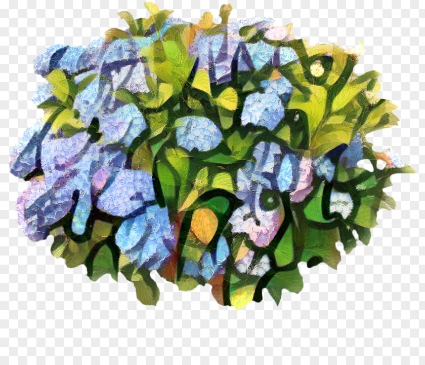 Wildflower Bouquet Flowers Background PNG