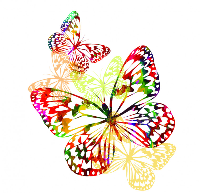 Butterfly Monarch Insect Clip Art PNG