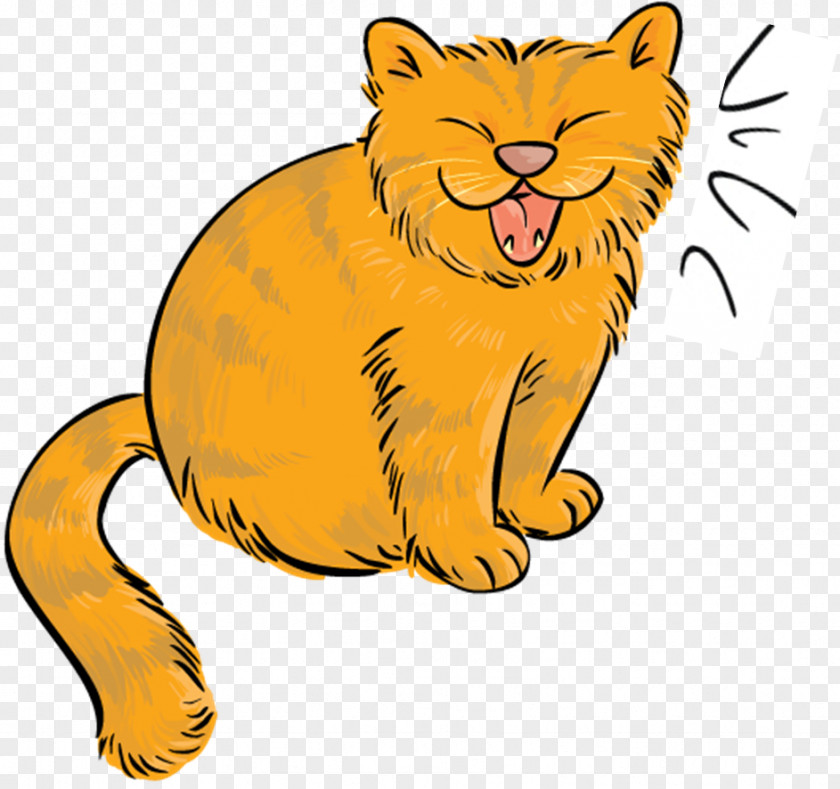 Cat Whiskers Farm Wildcat Clip Art PNG