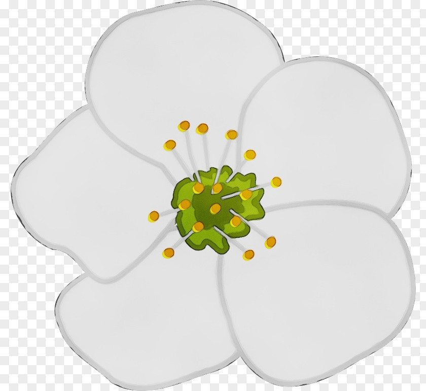 Floral Design PNG